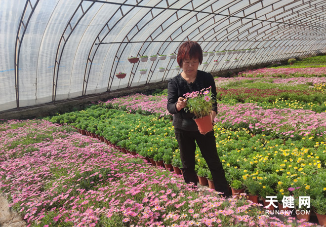 【天健视角】迎来春天!大连花卉市场