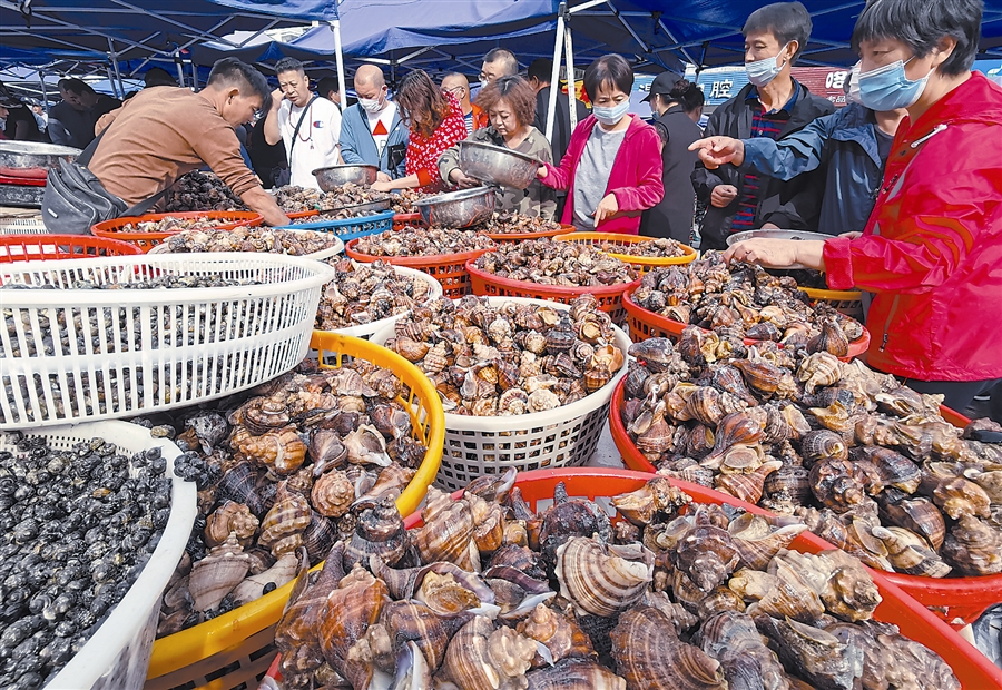 大连海鲜市场异常火爆,随着大连地区的渤海和黄海海域的各种贝类,海螺