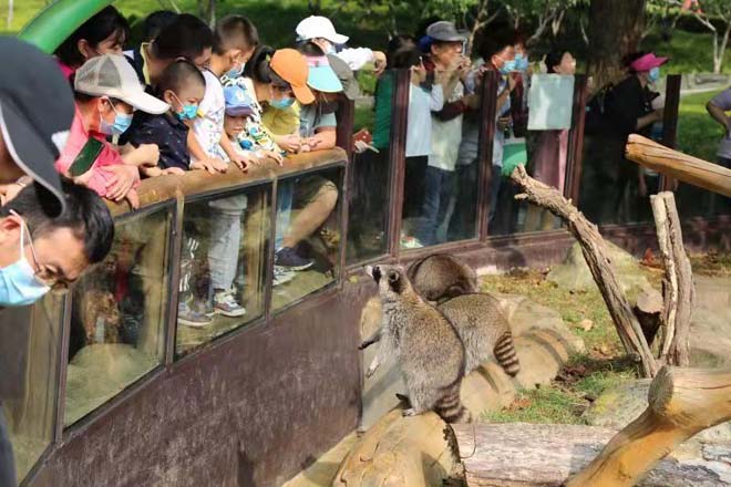 國慶黃金週大連森林動物園接待遊客近9萬人次